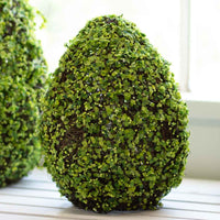 Belmont Faux Moss Egg Decor