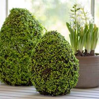 Belmont Faux Moss Egg Decor