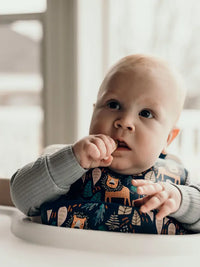 Silicone Bib w/Crumb Catcher- Zoo Lion