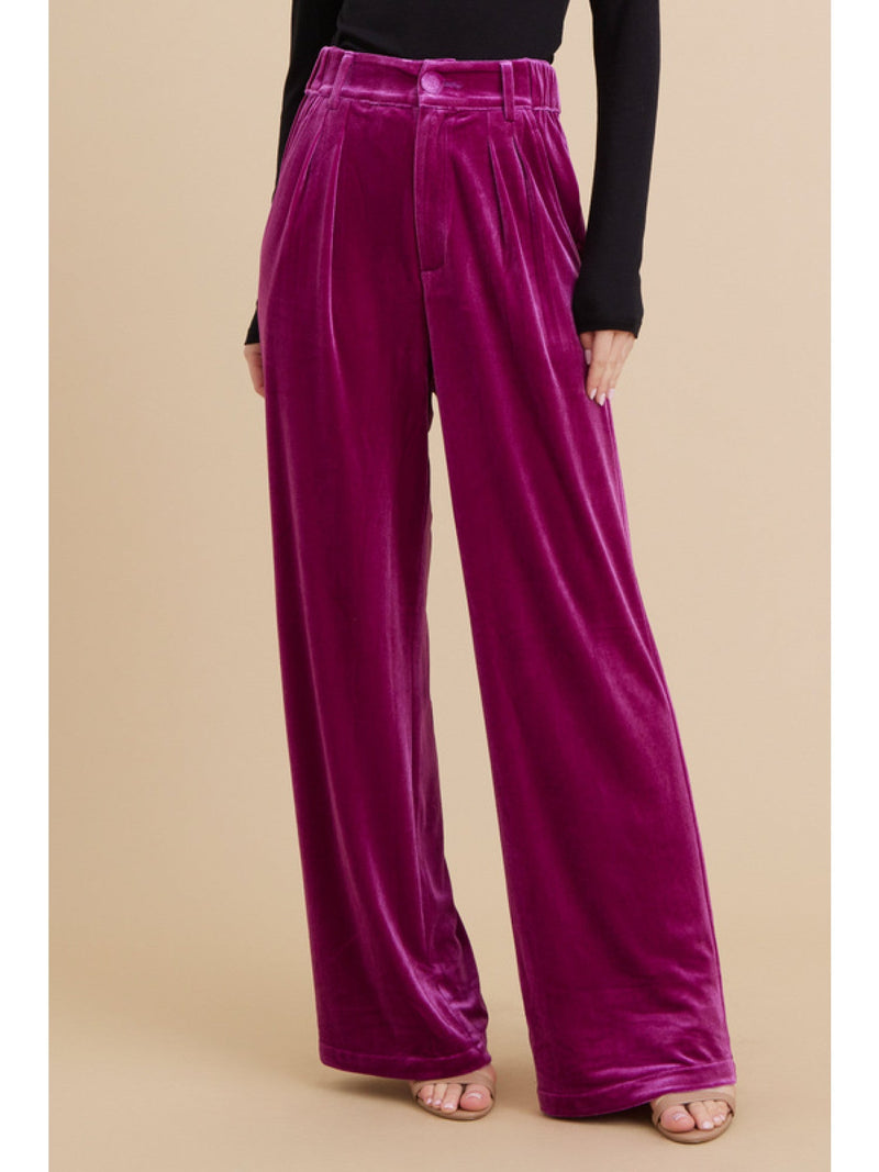 Dream Come True Velvet Trouser Pants