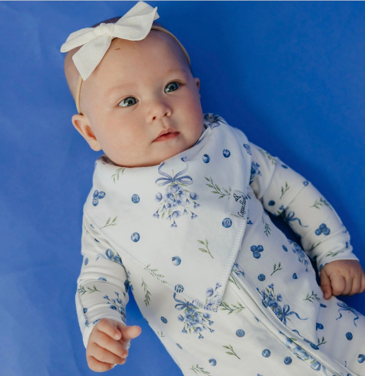 Copper Pearl Baby Bandana Bibs Set of 4 - Catherine