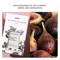 PURA Santorini by Brooklyn Candle Studio - Scent Refill