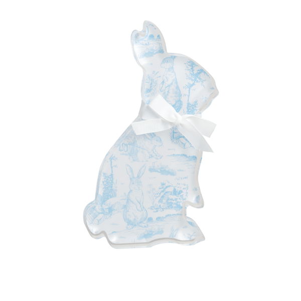 Whimsical Decorative Acrylic Toile Bunny Sitter