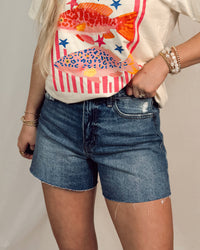 Honey High Rise Raw Hem Denim Shorts