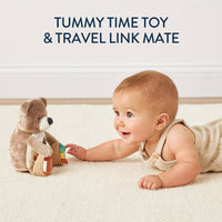 Itzy Bitzy Mirror Sensory Bear With Attachment