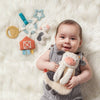 Itzy Ritzy Bitzy Busy Ring™ Teething Activity Toy: Farm
