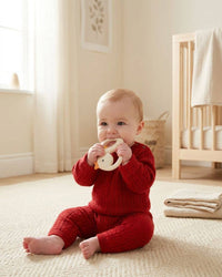 Itzy Ritzy Bitzy Shake - Silicone Teether with Rattle: Goose