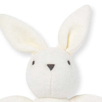 Bunny Plush Baby Rattle: Bunny