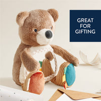 Itzy Bitzy Mirror Sensory Bear With Attachment