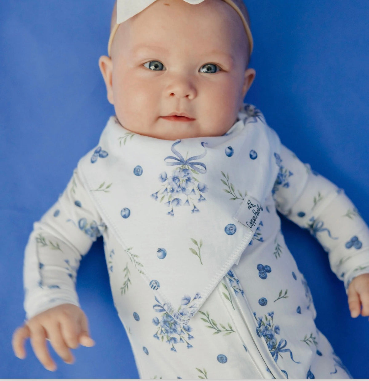 Copper Pearl Baby Bandana Bibs Set of 4 - Catherine