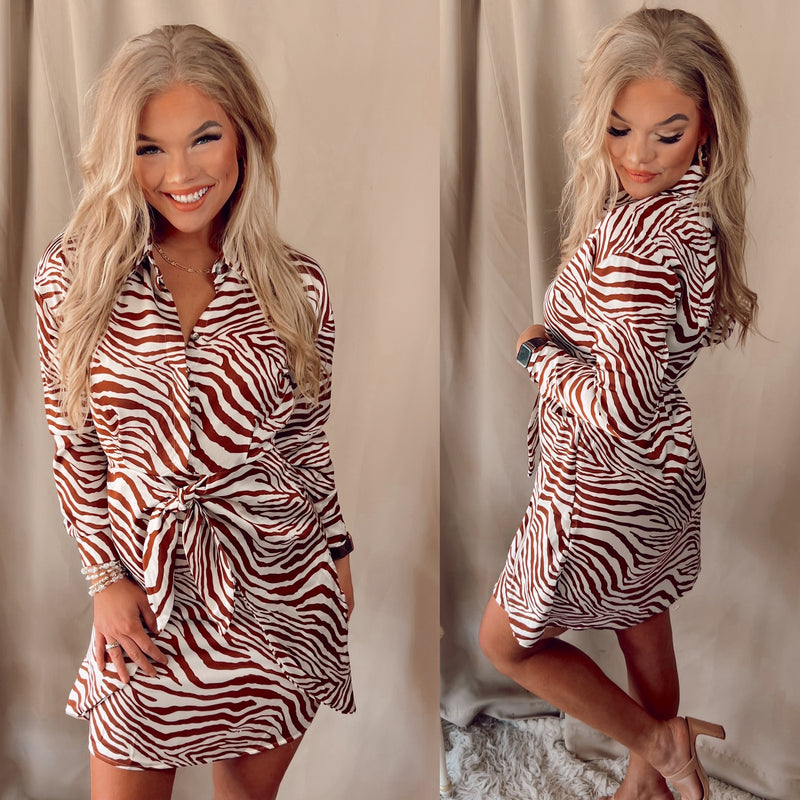 Zara Zebra Print Dress