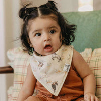 CP Asst 4 Bib Set - Cheyenne