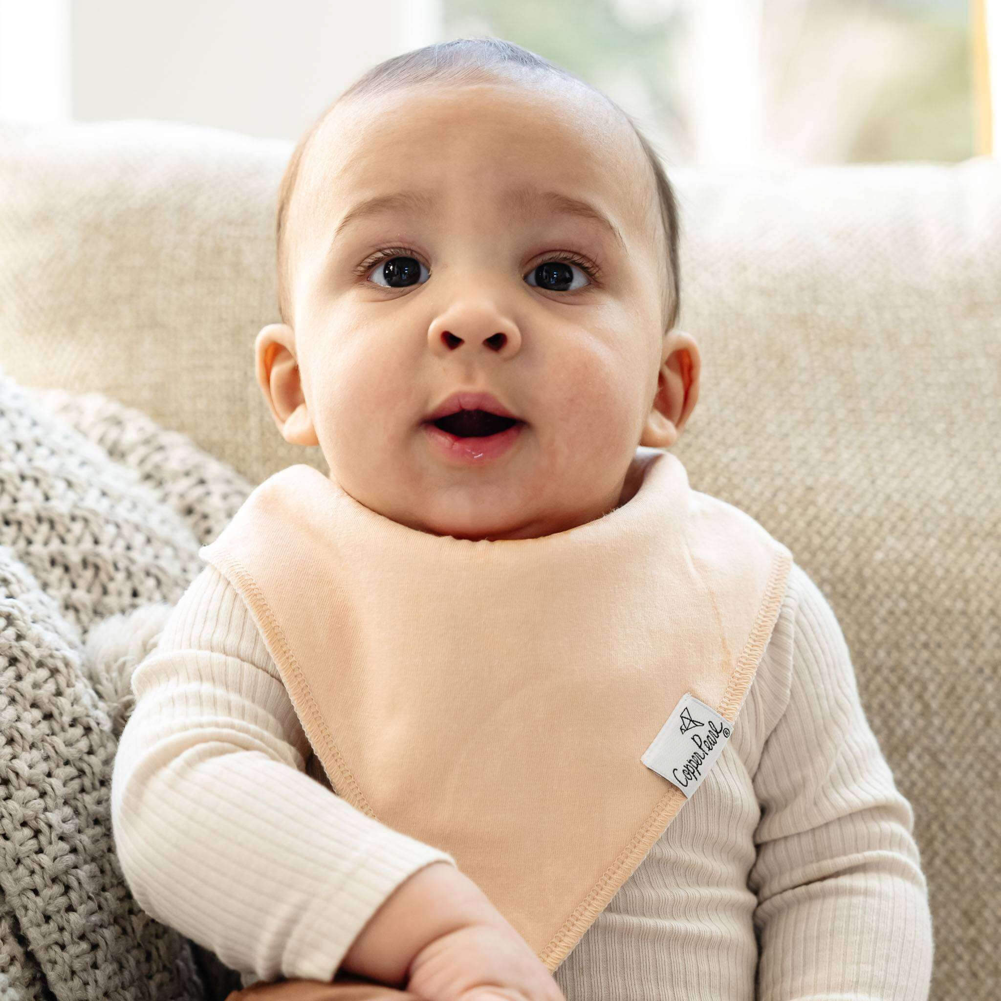 Copper Pearl Pack of 4 Baby Bandana Bib Set - Ryder