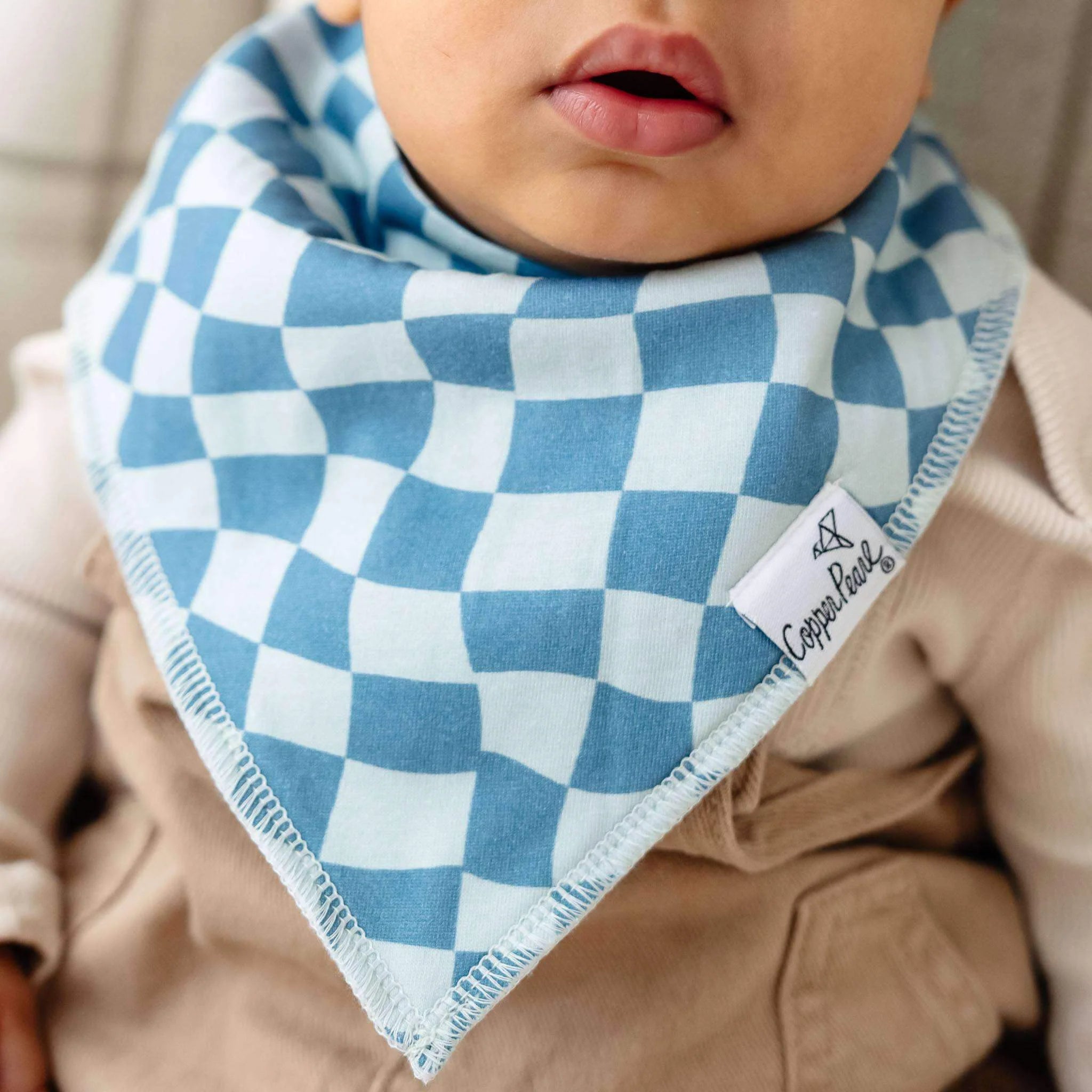 Copper Pearl Pack of 4 Baby Bandana Bib Set - Ryder