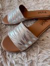 Graceful Zebra Slides- Silver Metallic