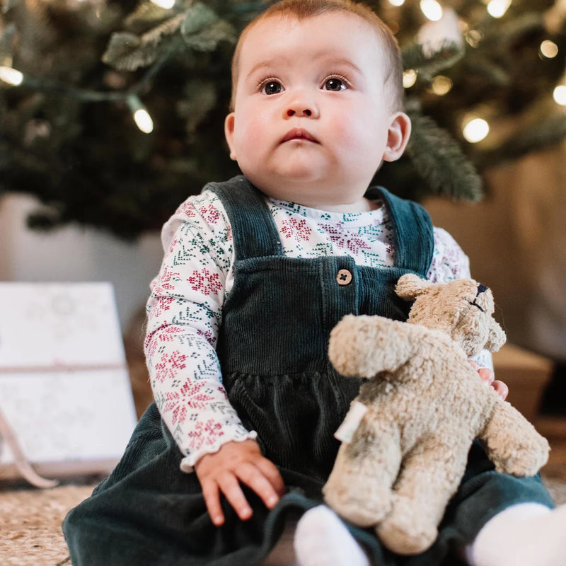Poinsettia Fair Isle Organic Girl Tee & Dress Set