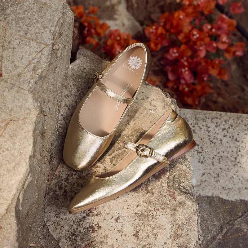 Metallic gold ballet flats with strap and  a brand logo on a stone surface with red flowers in the background