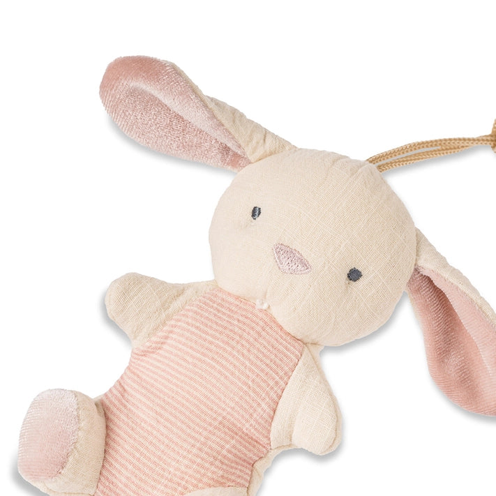 Itzy Ritzy - Bitzy Pal Natural Rubber Pacifier & Stuffed Animal - Bunny