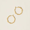 14K Gold Dipped Everyday Essential Twisted Hoops