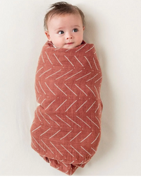 Muslin Multi-Use Blanket