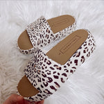 Yellow Box Torrey Slides- Leopard