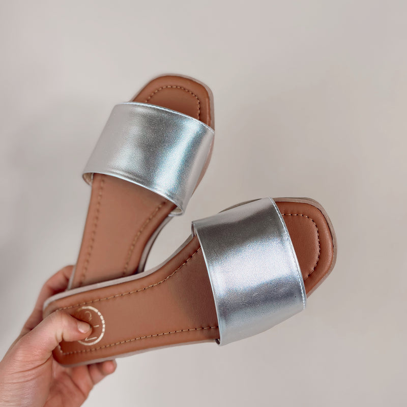 Audrey Silver Slides